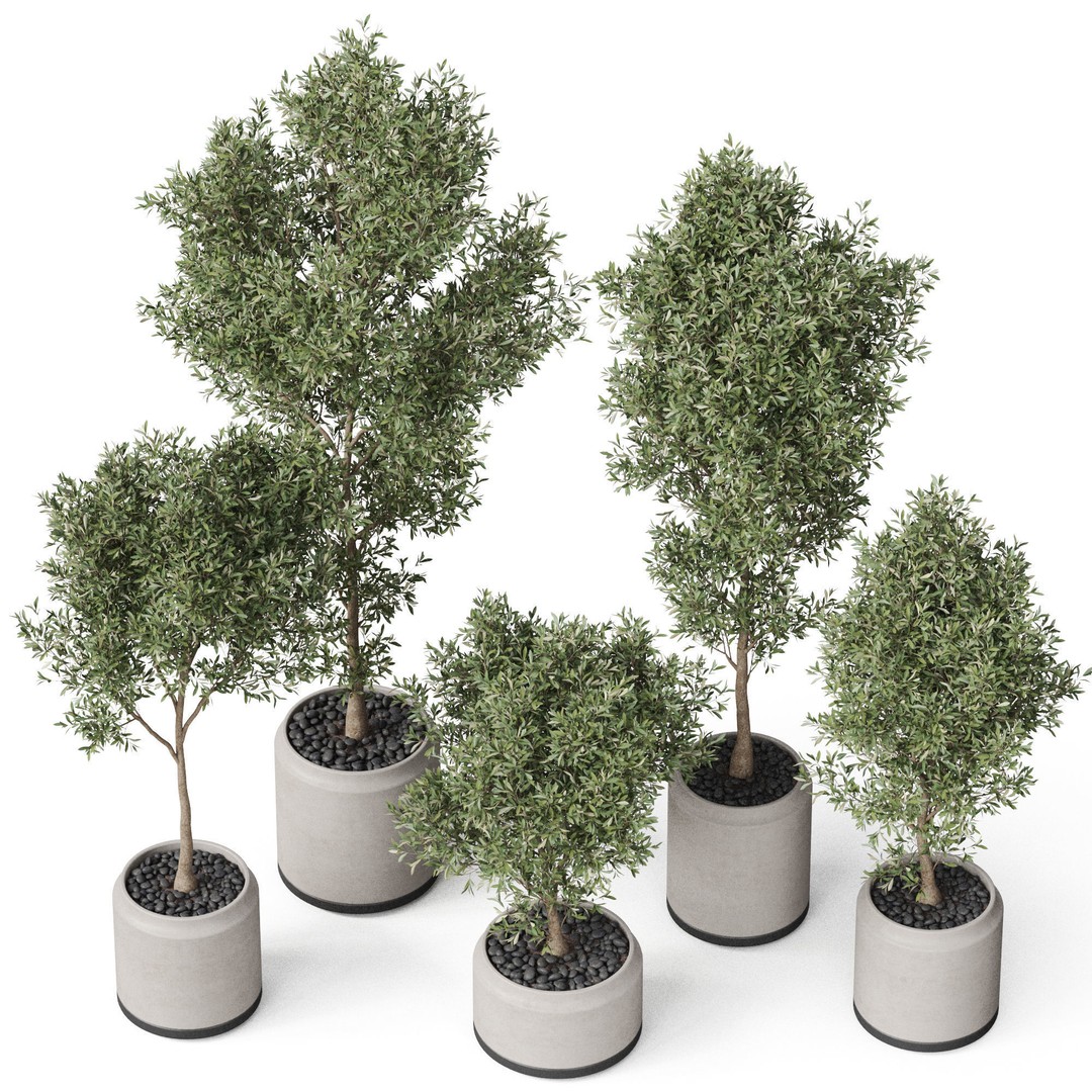Plants Collection 846 3D Model – High Quality PBR Assets, FBX, OBJ - View 4