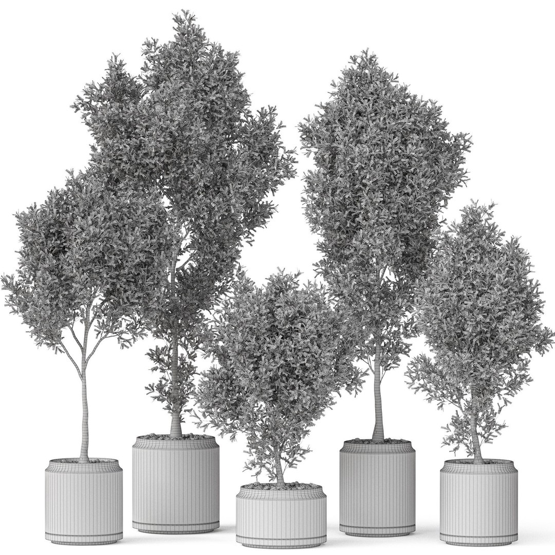 Plants Collection 846 3D Model – High Quality PBR Assets, FBX, OBJ - View 5