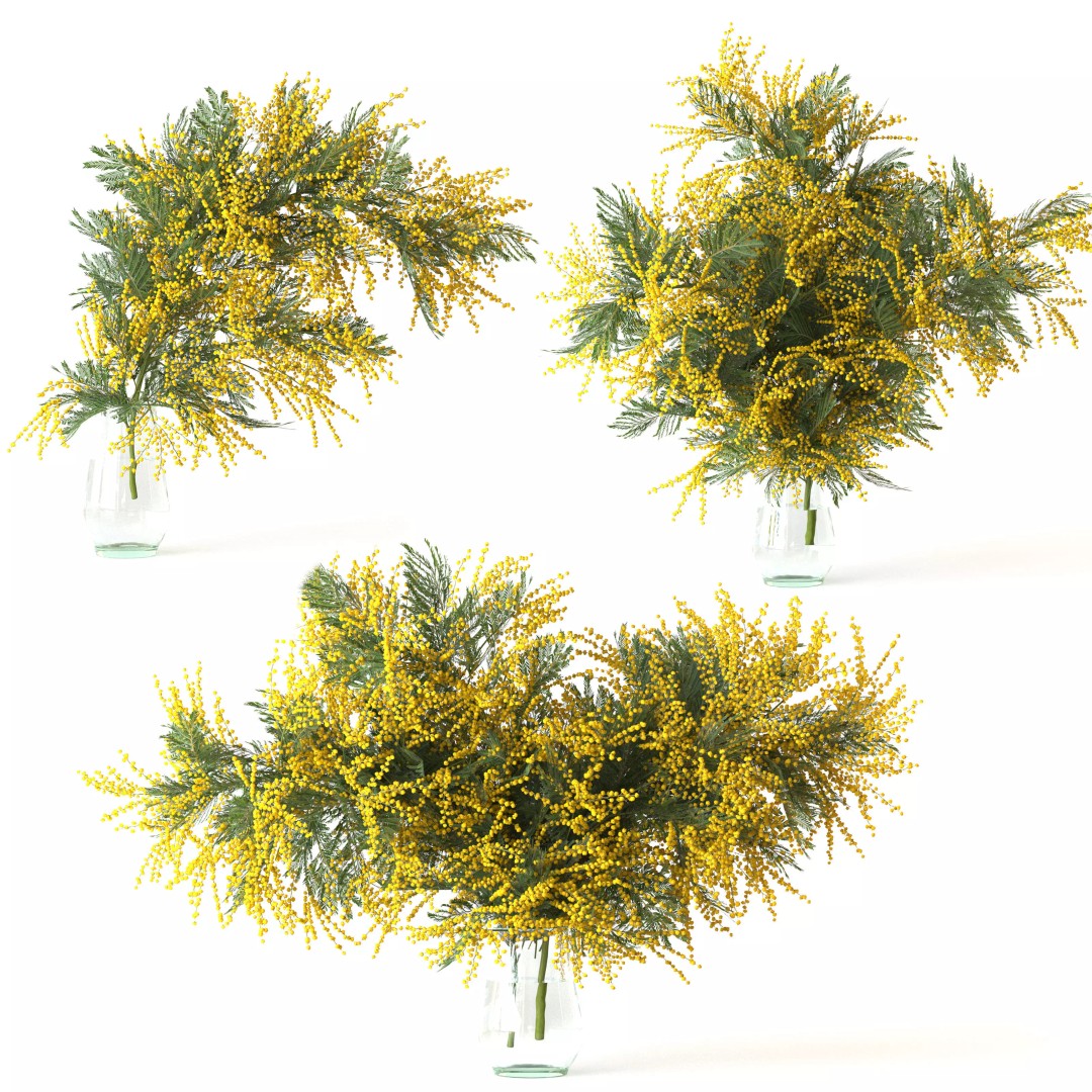Mimosa Bouquets 3D Model – High Poly PBR Floral Assets, FBX - View 2