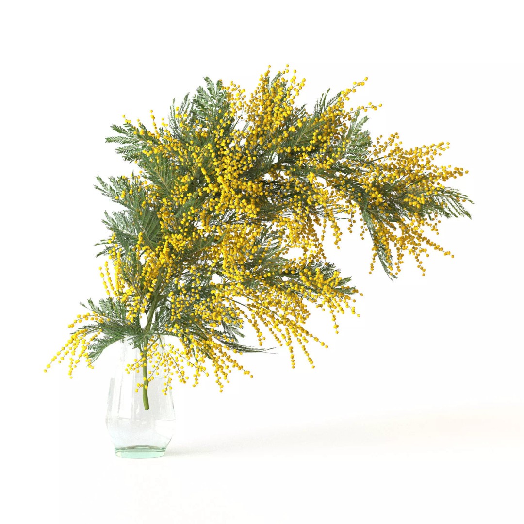 Mimosa Bouquets 3D Model – High Poly PBR Floral Assets, FBX - View 7
