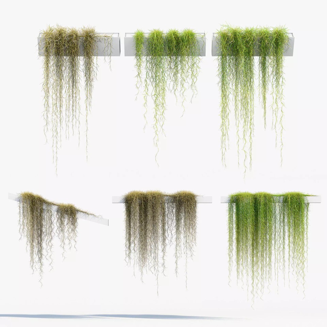 Tillandsia usneoides 3D Model – Spanish Moss, PBR Textures, FBX - View 2