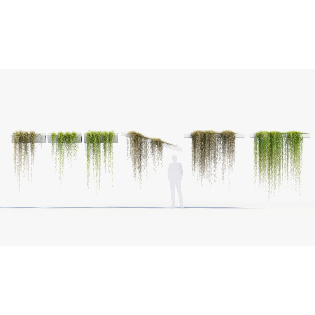 Tillandsia usneoides 3D Model – Spanish Moss, PBR Textures, FBX - View 3