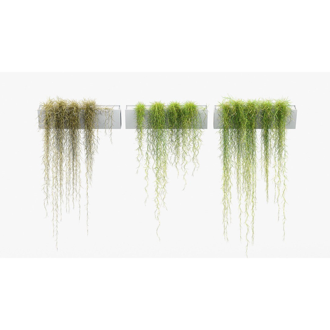 Tillandsia usneoides 3D Model – Spanish Moss, PBR Textures, FBX - View 4