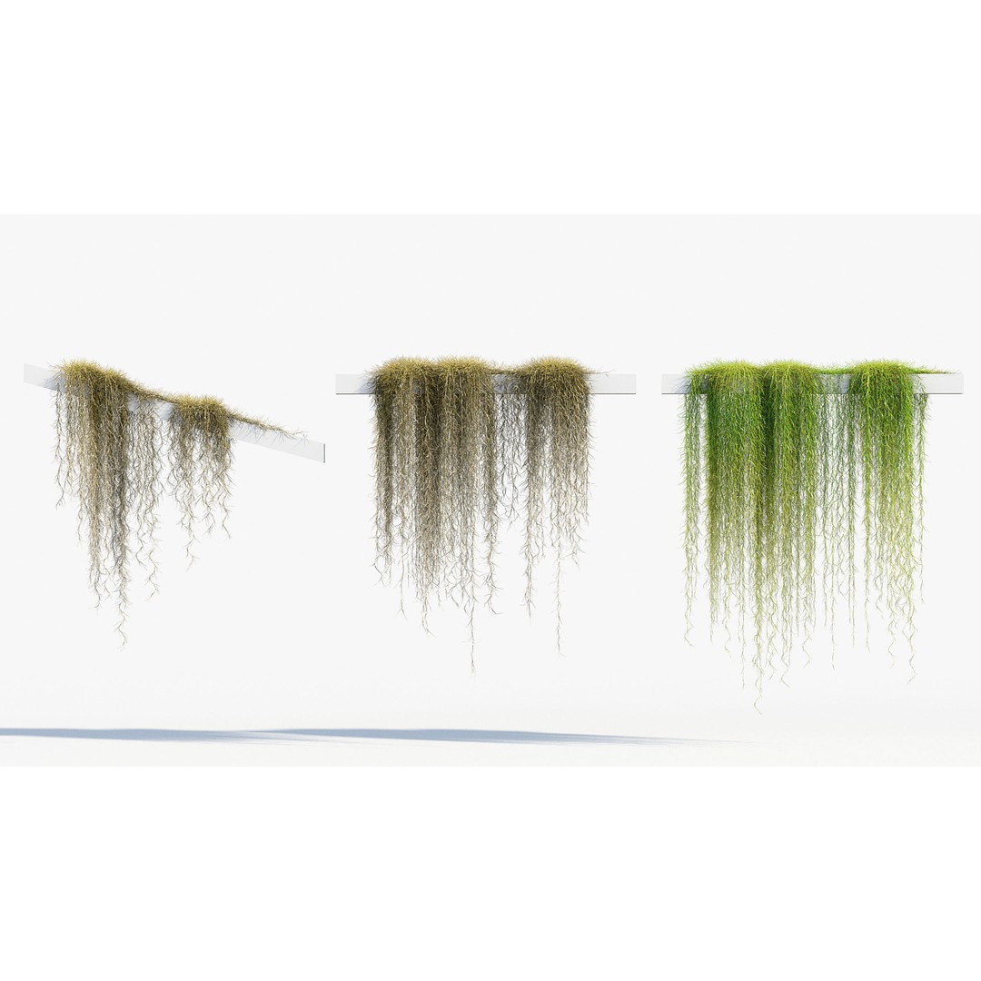 Tillandsia usneoides 3D Model – Spanish Moss, PBR Textures, FBX - View 5