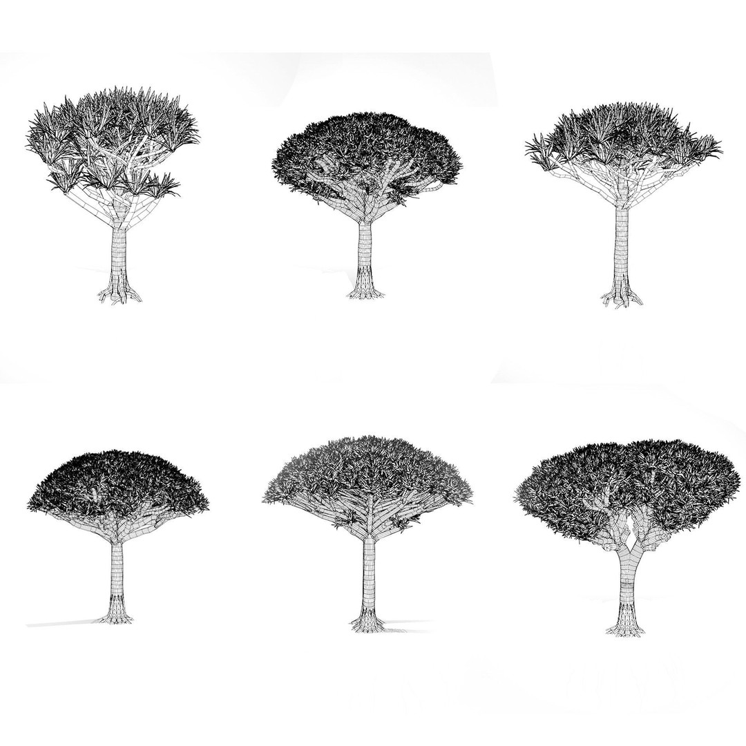 Dragon Blood Tree 3D Model – Low Poly Game Asset, PBR, FBX, Blender