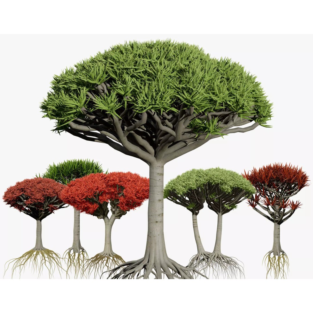 Dragon Blood Tree 3D Model – Low Poly Game Asset, PBR, FBX, Blender - View 2