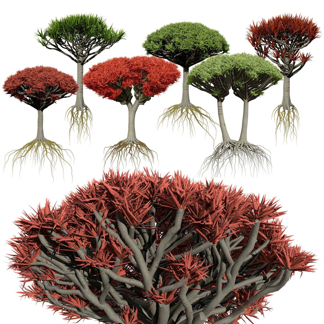 Dragon Blood Tree 3D Model – Low Poly Game Asset, PBR, FBX, Blender - View 3