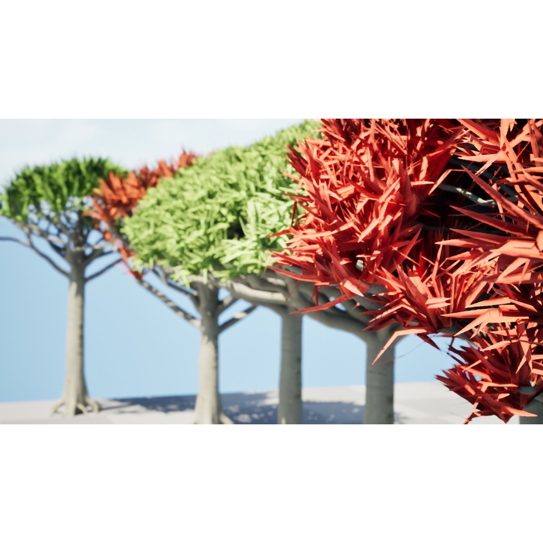 Dragon Blood Tree 3D Model – Low Poly Game Asset, PBR, FBX, Blender - View 8