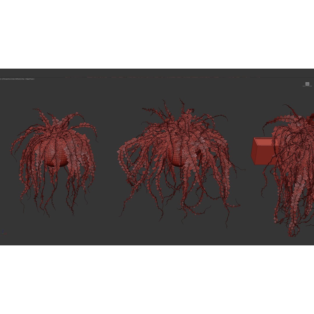 Adiantum Common Maidenhair Fern 3D Model – PBR Textured Plant, FBX - View 10