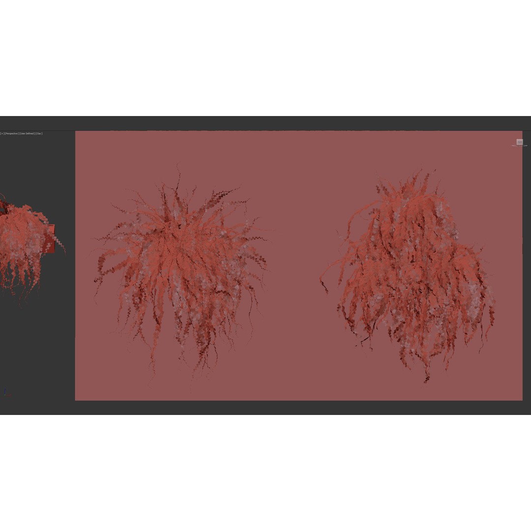 Adiantum Common Maidenhair Fern 3D Model – PBR Textured Plant, FBX - View 11