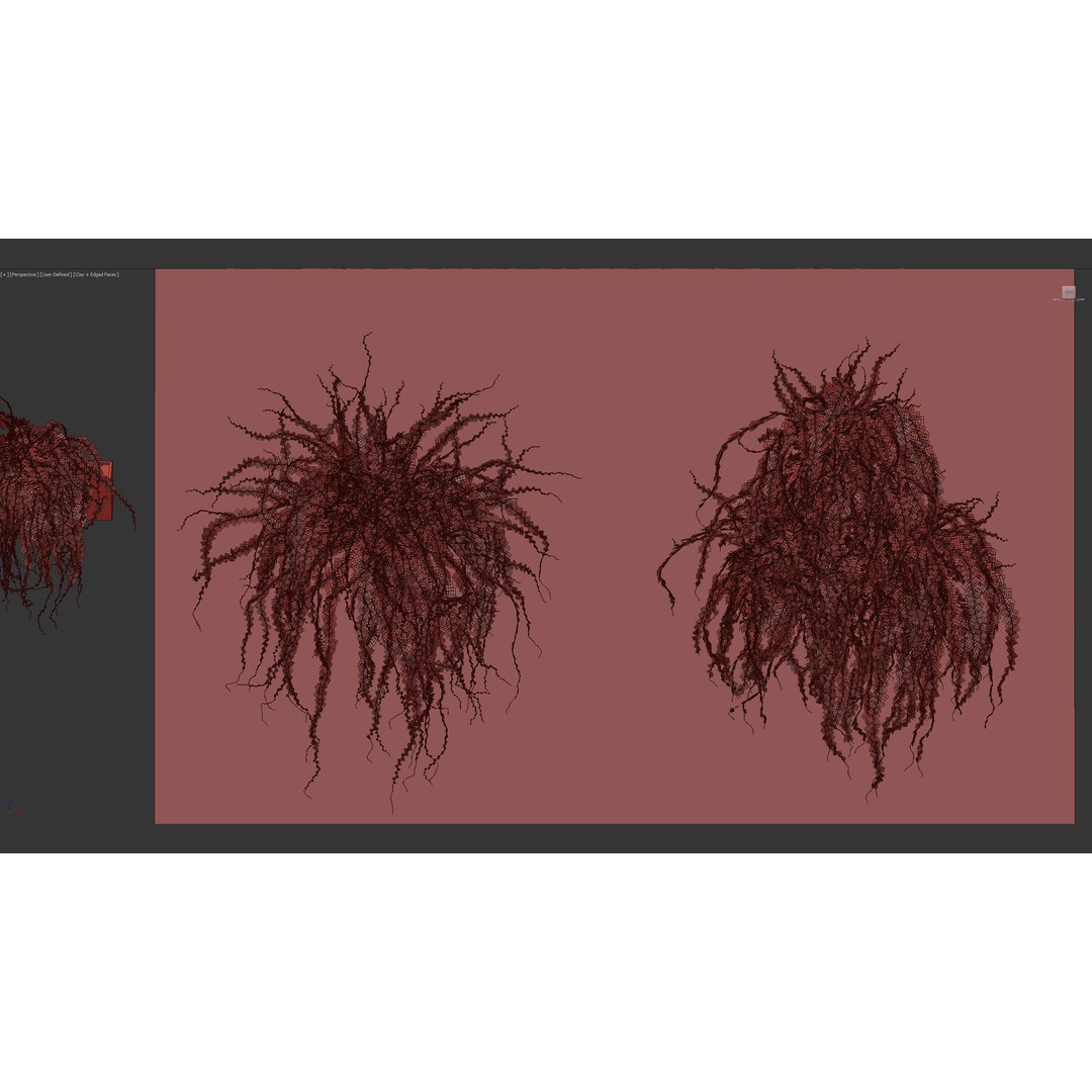 Adiantum Common Maidenhair Fern 3D Model – PBR Textured Plant, FBX - View 12