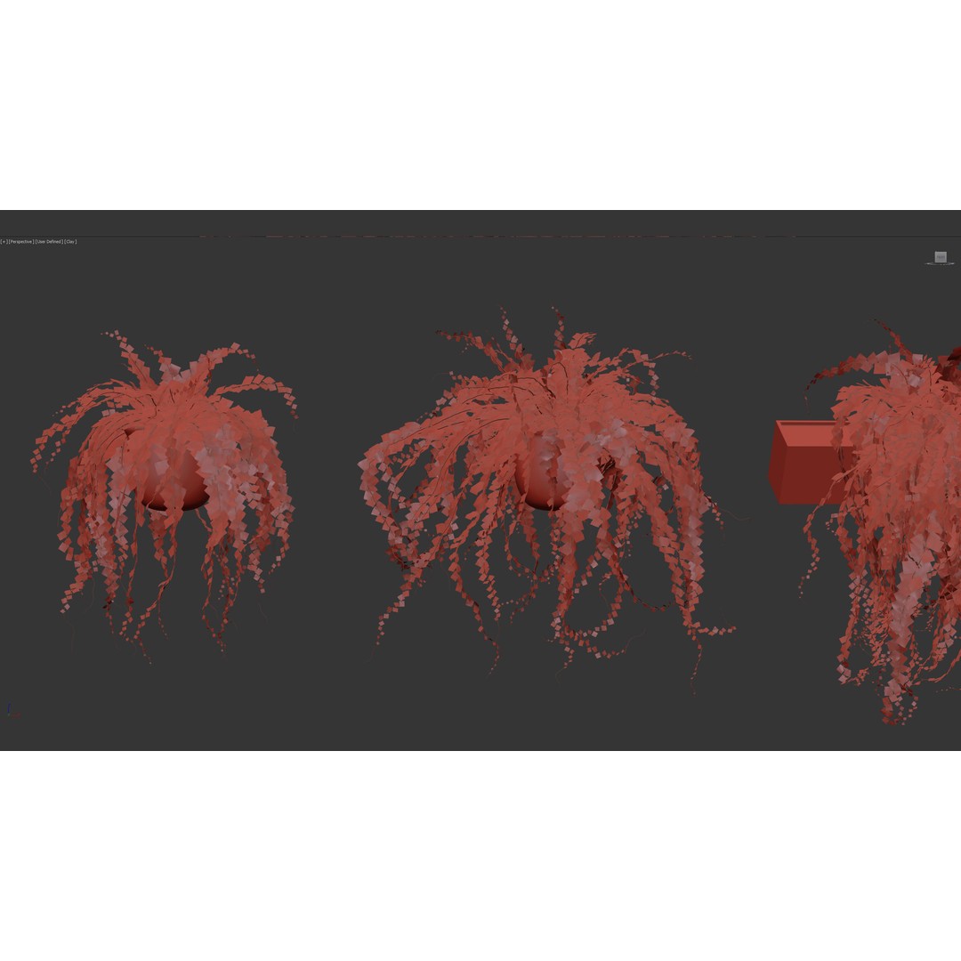 Adiantum Common Maidenhair Fern 3D Model – PBR Textured Plant, FBX - View 9