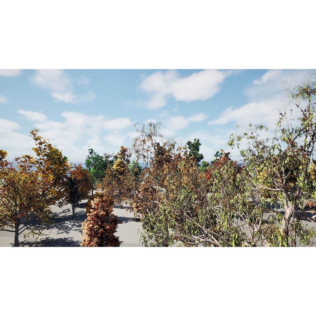Fall Trees 3D Model – Low Poly Collection for Games & Archviz