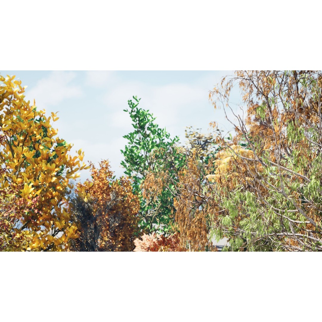 Fall Trees 3D Model – Low Poly Collection for Games & Archviz - View 4