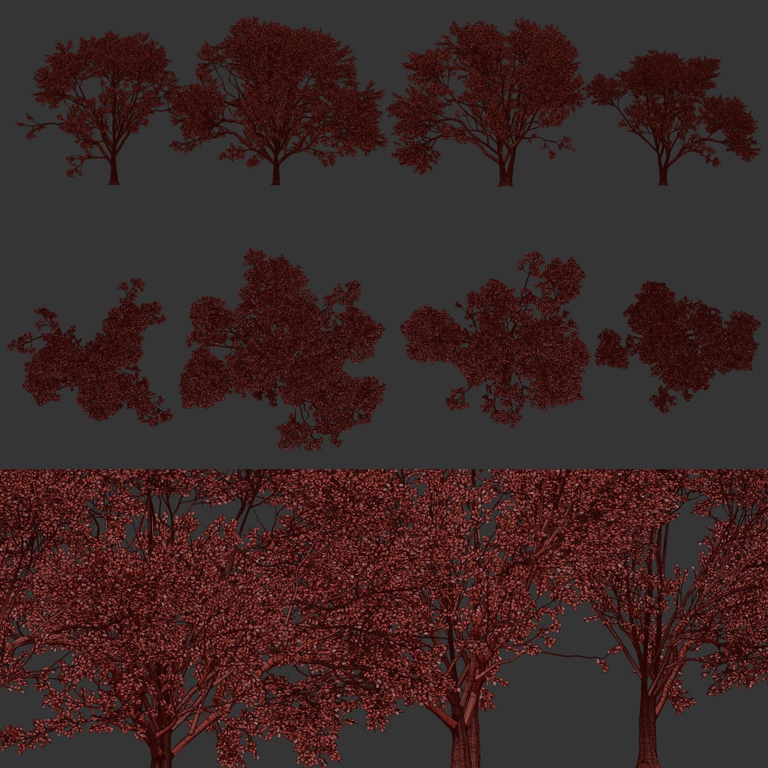Birch Trees 3D Model – PBR Game-Ready Collection, FBX, OBJ