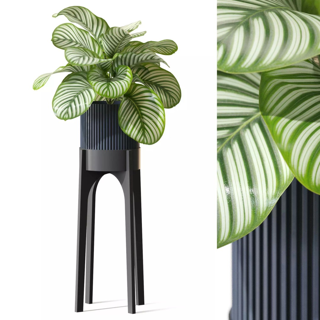 Plant 1302 3D Model – High-Quality Pot Plant for Archviz and Landscaping - View 2