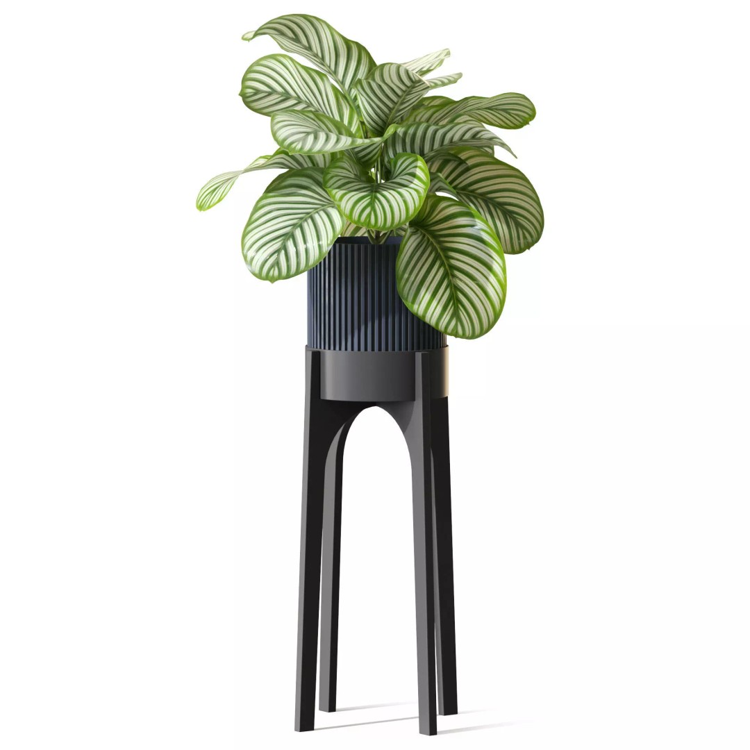Plant 1302 3D Model – High-Quality Pot Plant for Archviz and Landscaping - View 3