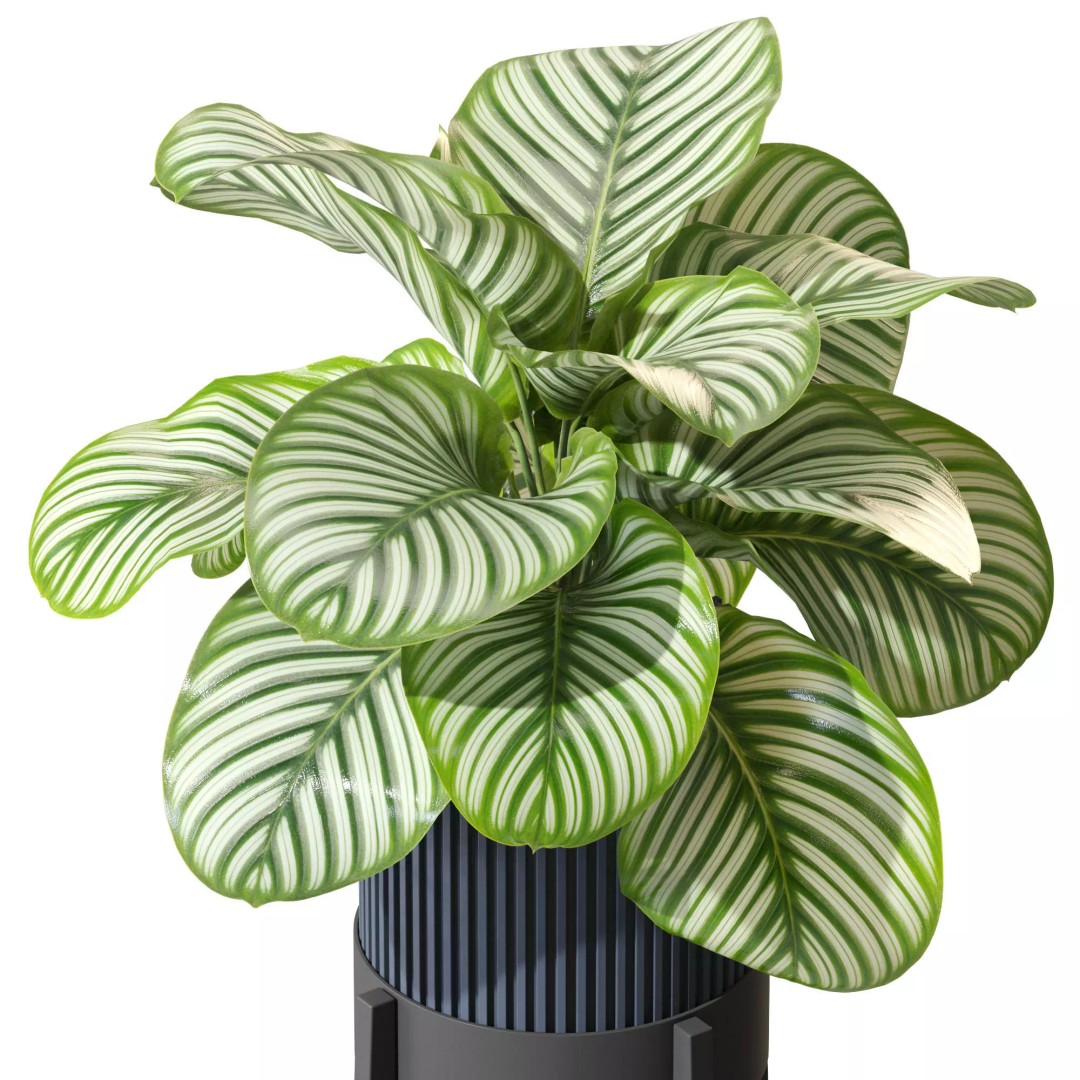 Plant 1302 3D Model – High-Quality Pot Plant for Archviz and Landscaping - View 5