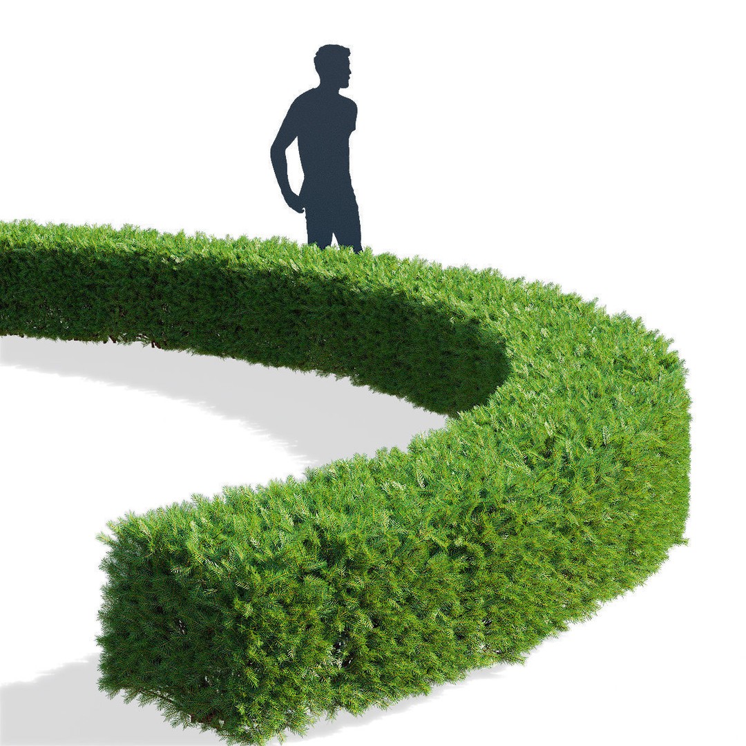 Picea Abies Hedge 3D Model – Low Poly Game Asset, FBX & OBJ Formats