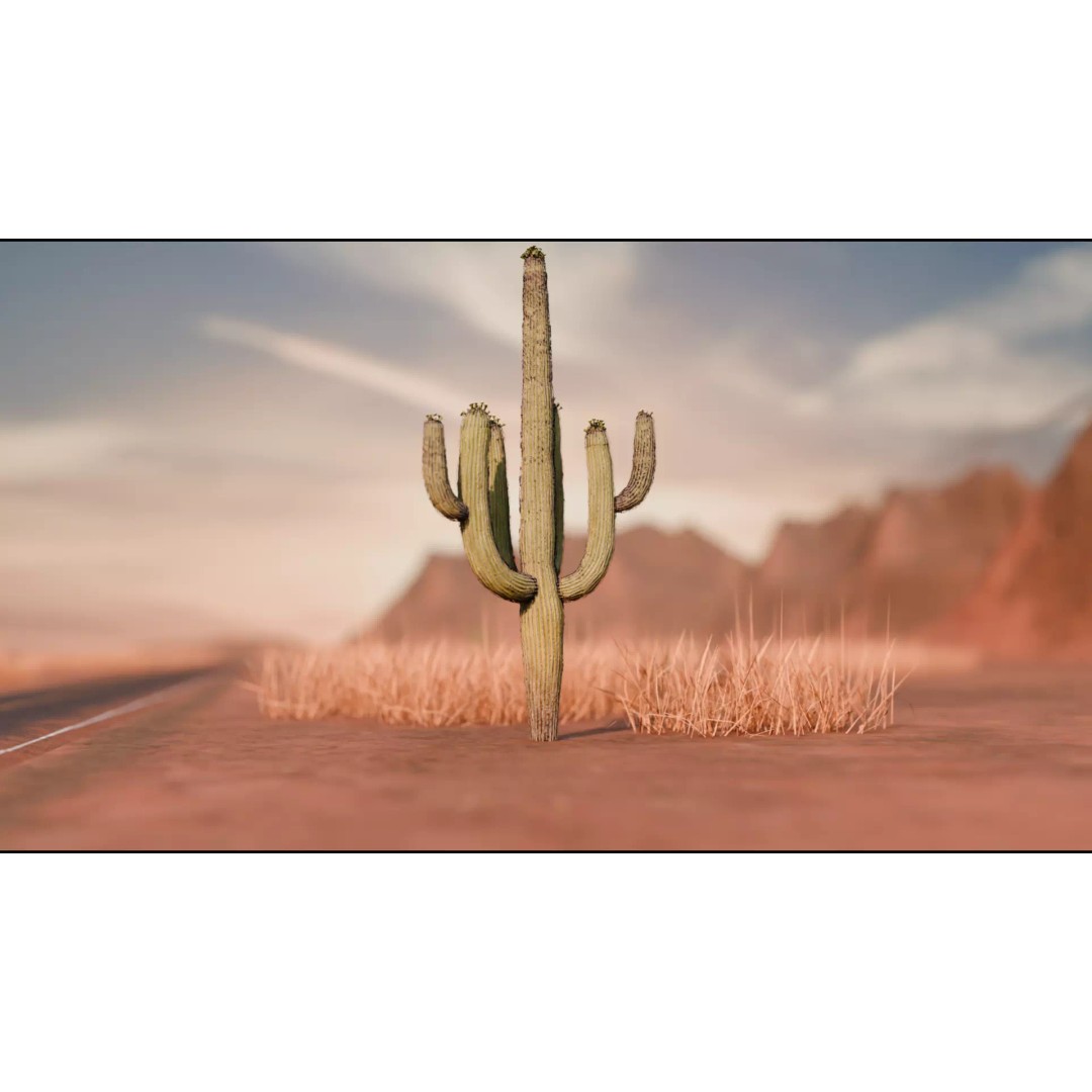 Desert 3D Model – Detailed Landscape Asset, PBR Textured Formats - View 2