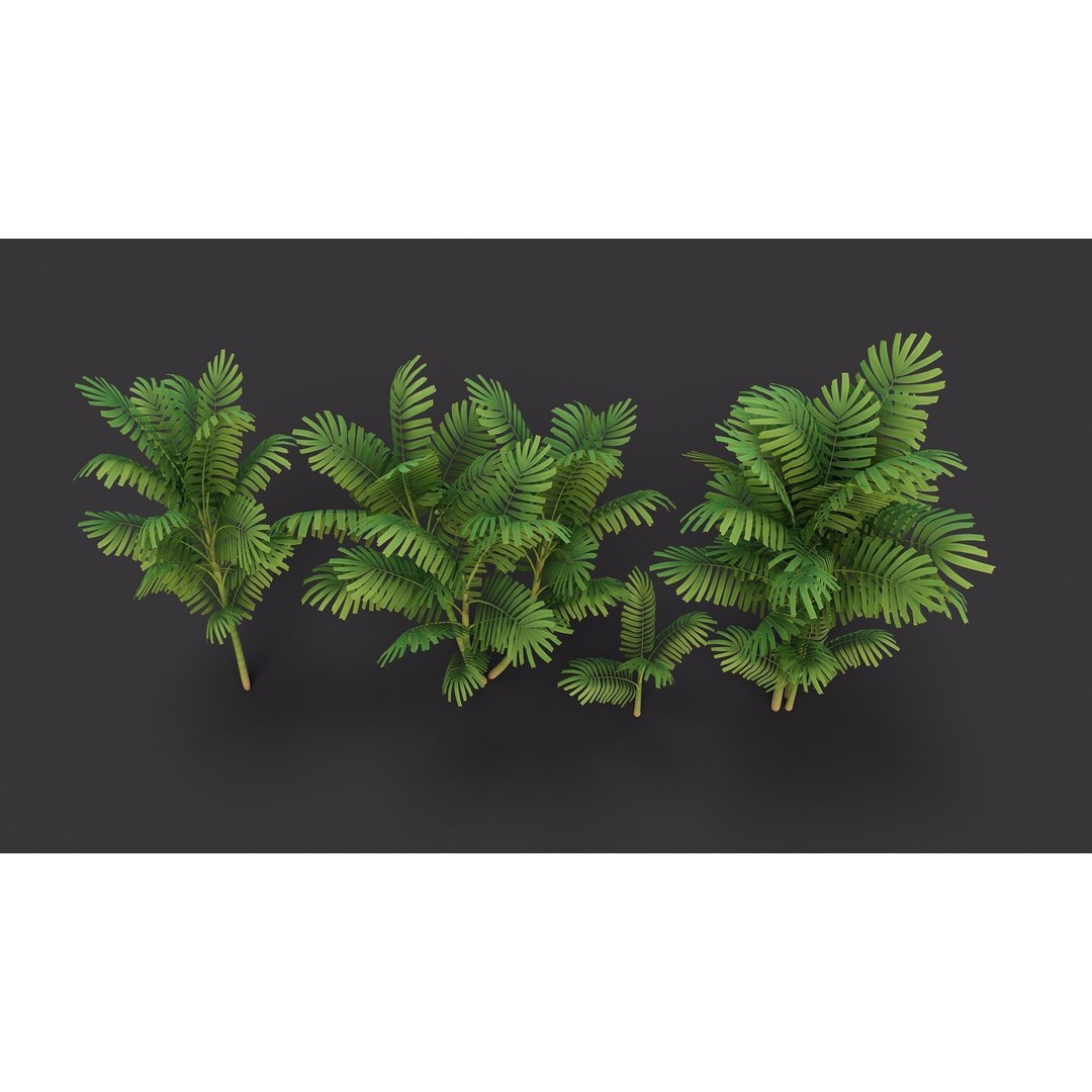 Macarthurs Palm 3D Model – Low Poly Stylized Tree, Game Ready FBX - View 10
