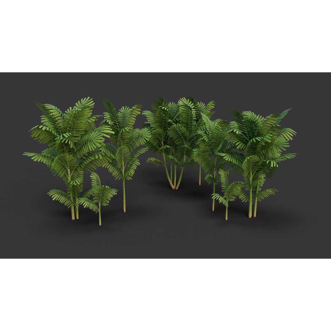 Macarthurs Palm 3D Model – Low Poly Stylized Tree, Game Ready FBX - View 11