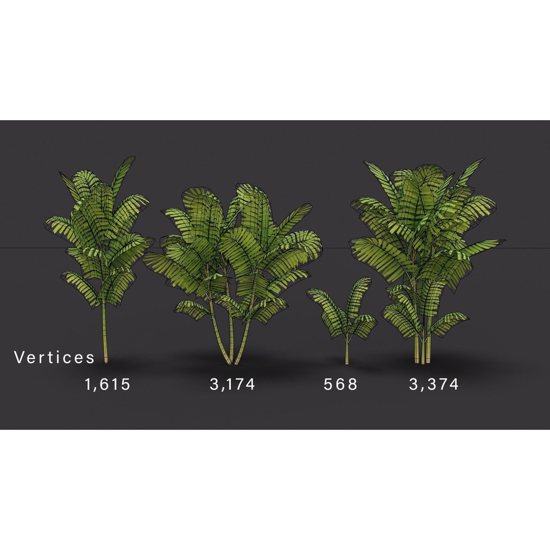 Macarthurs Palm 3D Model – Low Poly Stylized Tree, Game Ready FBX - View 12