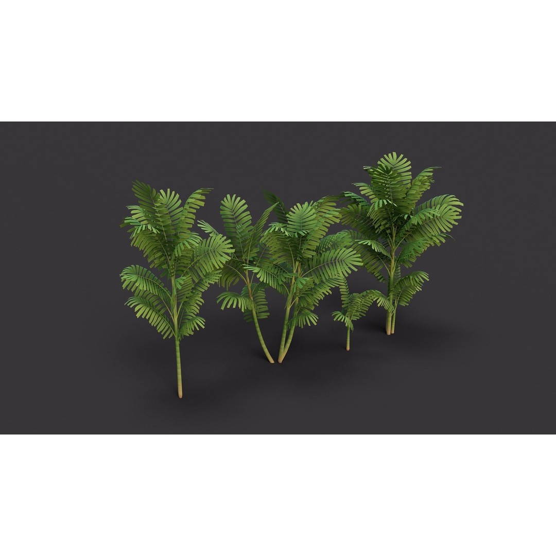 Macarthurs Palm 3D Model – Low Poly Stylized Tree, Game Ready FBX - View 3
