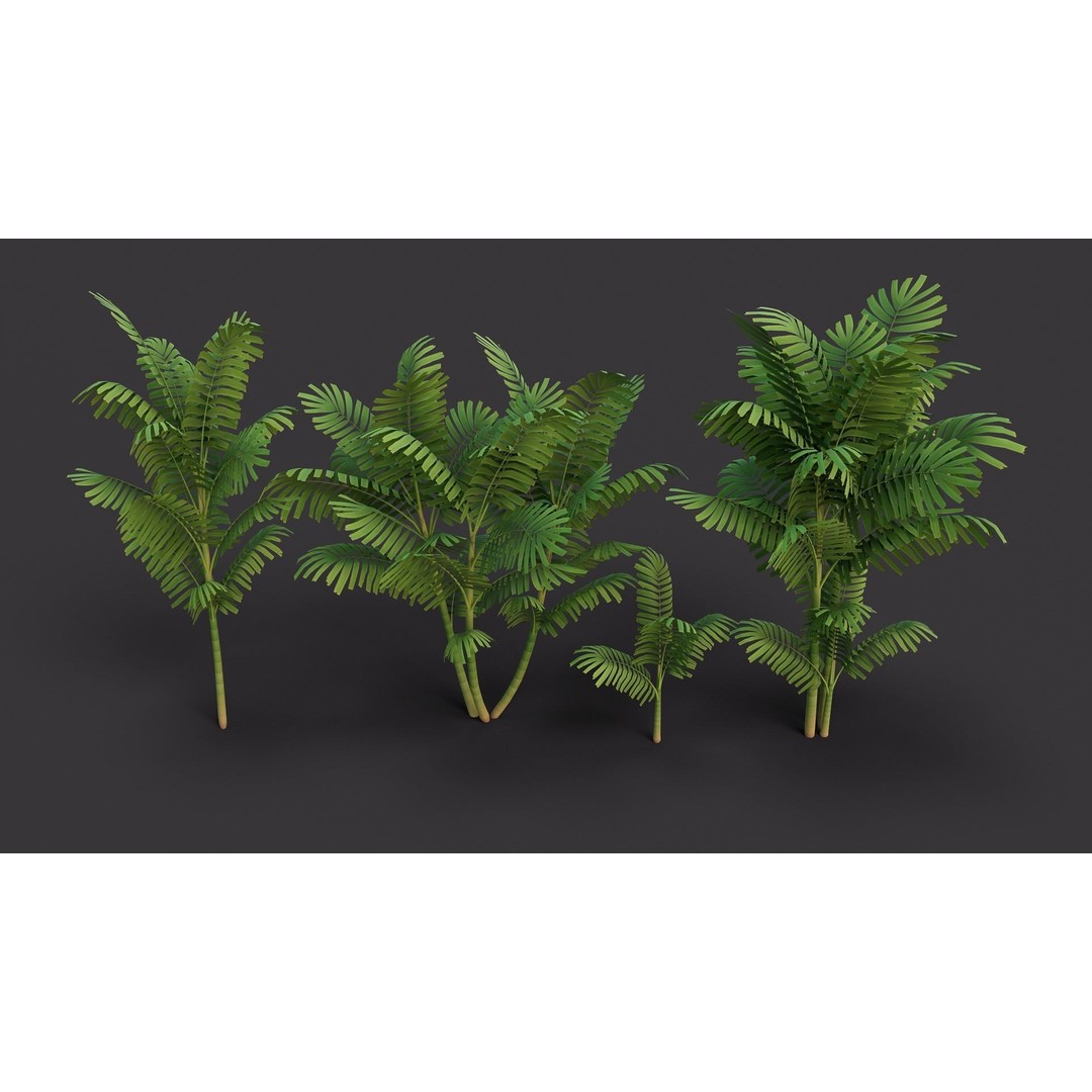 Macarthurs Palm 3D Model – Low Poly Stylized Tree, Game Ready FBX - View 4