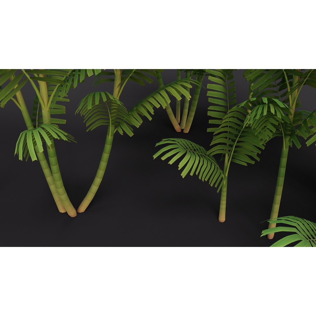 Macarthurs Palm 3D Model – Low Poly Stylized Tree, Game Ready FBX - View 6