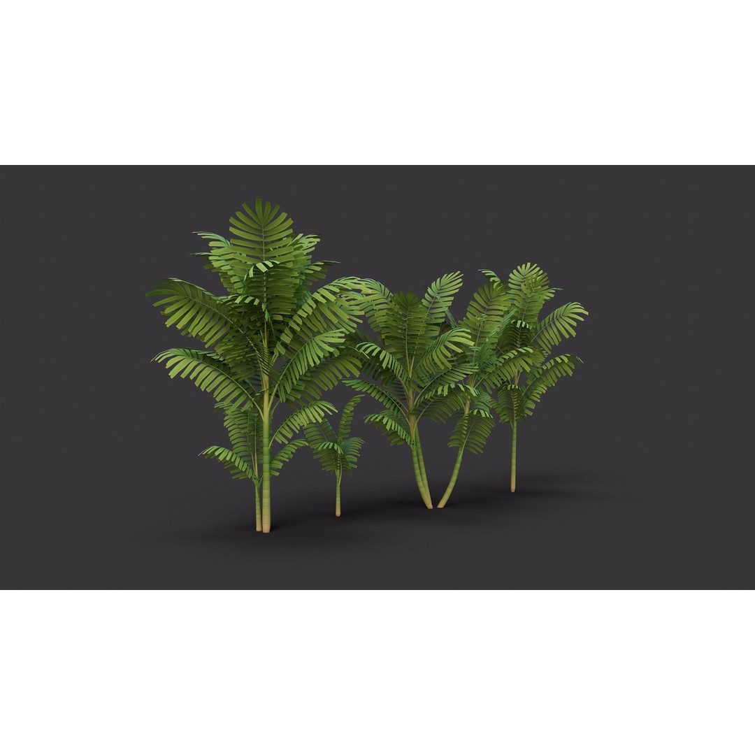 Macarthurs Palm 3D Model – Low Poly Stylized Tree, Game Ready FBX - View 7