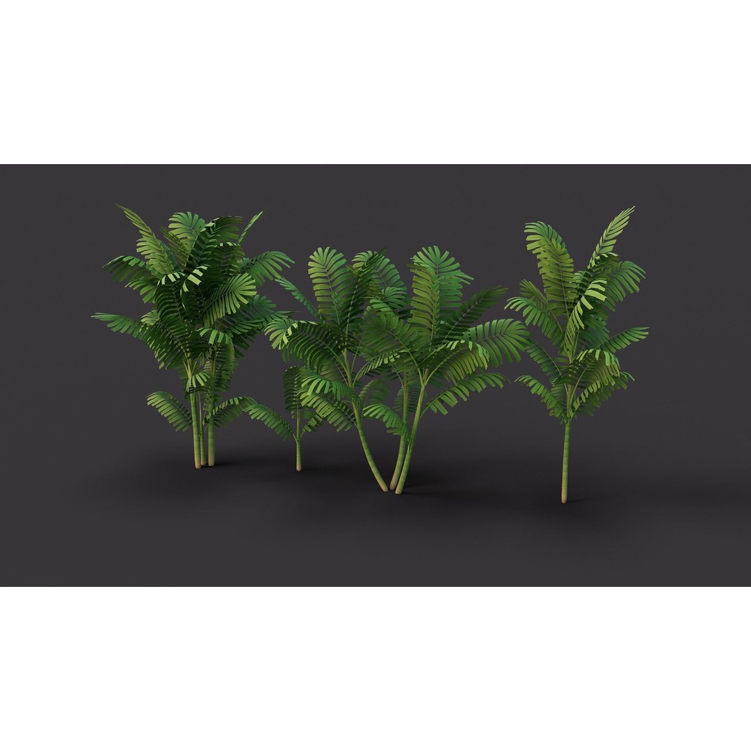 Macarthurs Palm 3D Model – Low Poly Stylized Tree, Game Ready FBX - View 8