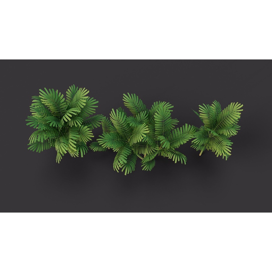 Macarthurs Palm 3D Model – Low Poly Stylized Tree, Game Ready FBX - View 9