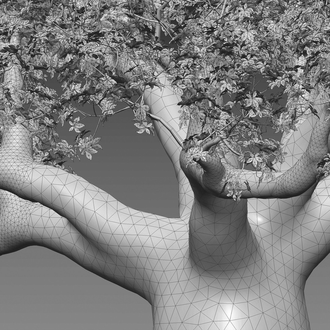 Baobab 3D Model – Low Poly Plant Asset for Animation, FBX - View 5