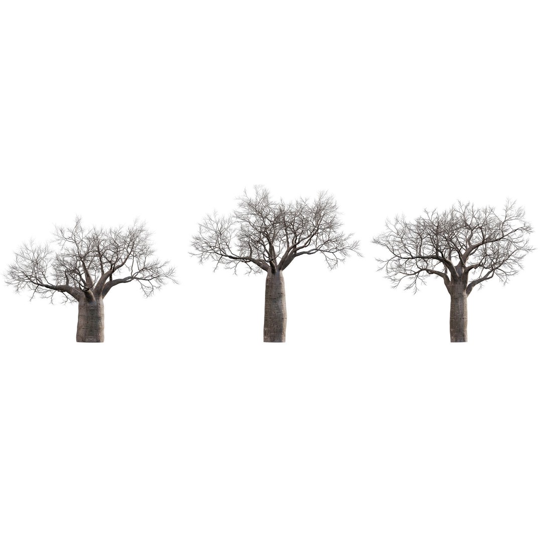 Baobab 3D Model – Low Poly Plant Asset for Animation, FBX - View 6