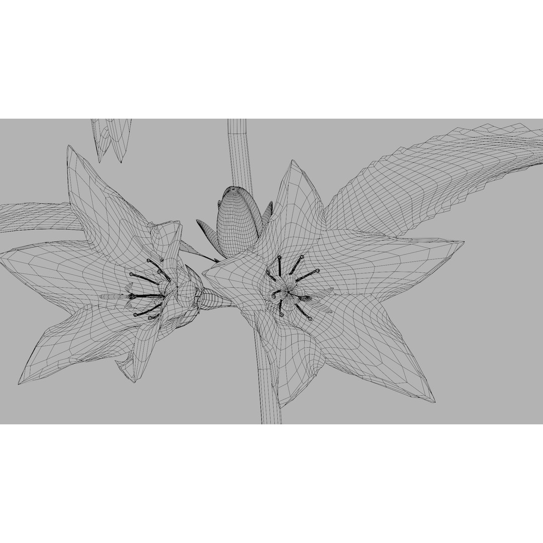 Campanula Perennial Bell Flower 3D Model – High Poly PBR Asset, FBX, OBJ