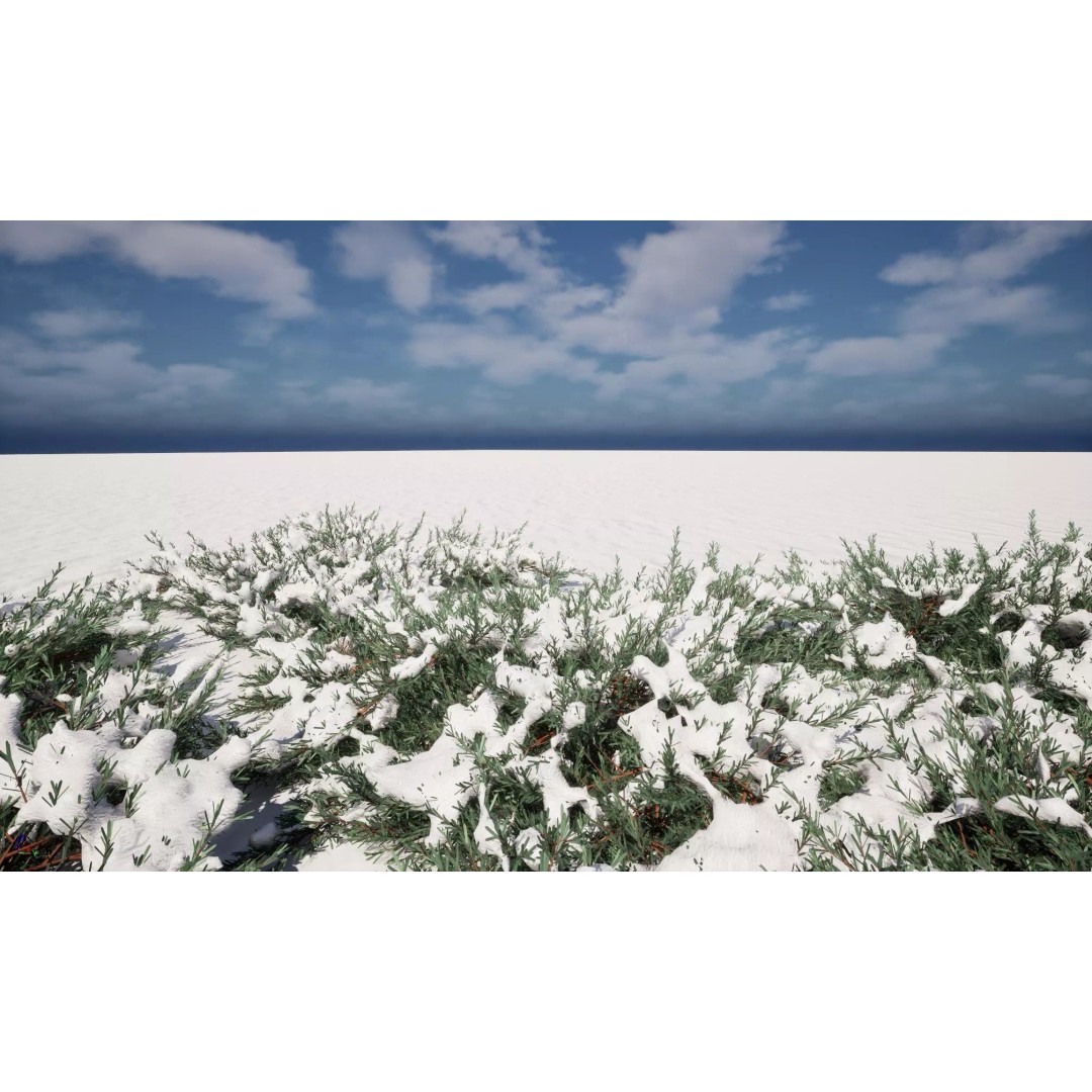 Juniperus Horizontalis 3D Model – Low Poly Winter Plant, FBX