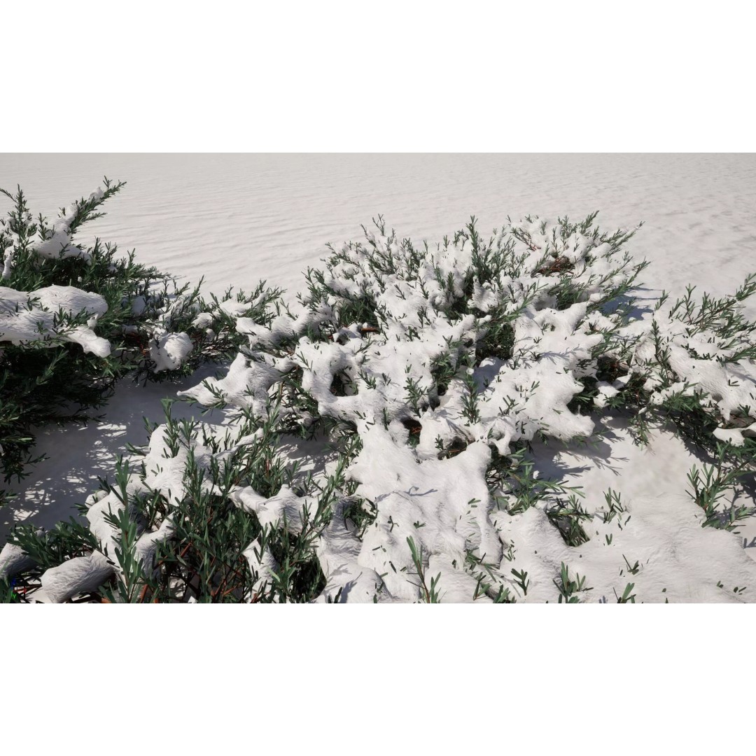 Juniperus Horizontalis 3D Model – Low Poly Winter Plant, FBX - View 3
