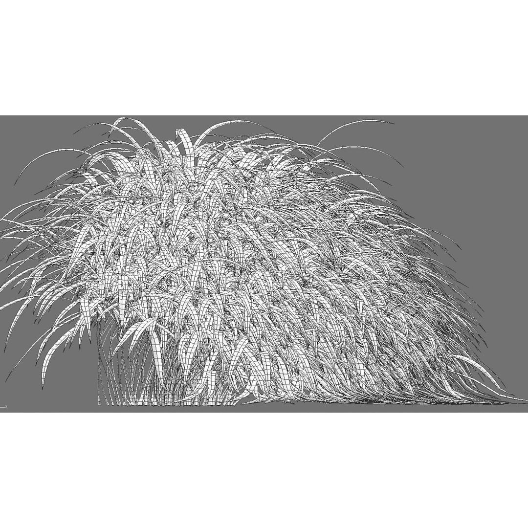 Hakonechloa macra 3D Model – Japanese Forest Grass, PBR Textures, FBX - View 13