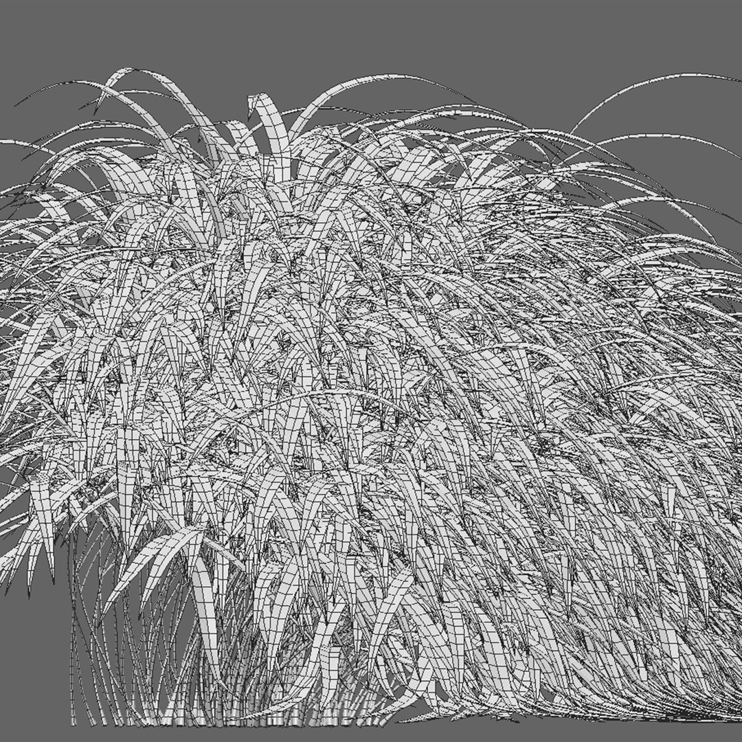 Hakonechloa macra 3D Model – Japanese Forest Grass, PBR Textures, FBX - View 5