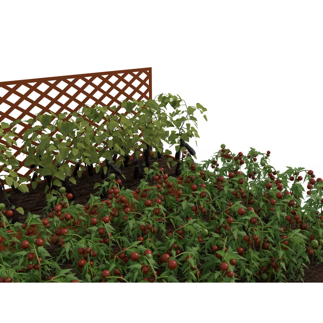 Edible Vegetable 3D Model – Game Ready PBR Asset, FBX, OBJ - View 7