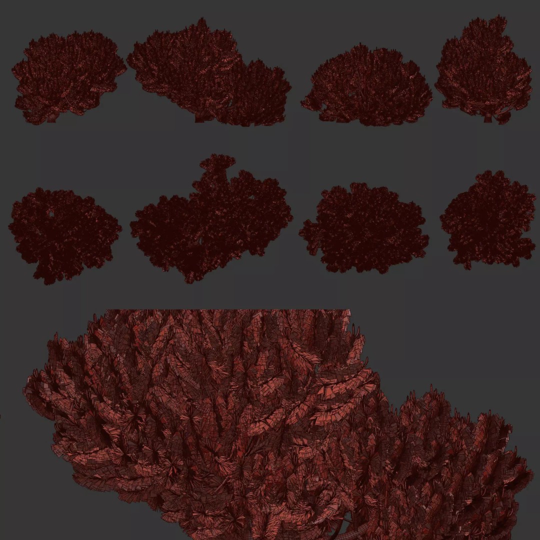 Mugo Pine Bush Collection 3D Model – Realistic PBR Bushes, FBX, OBJ
