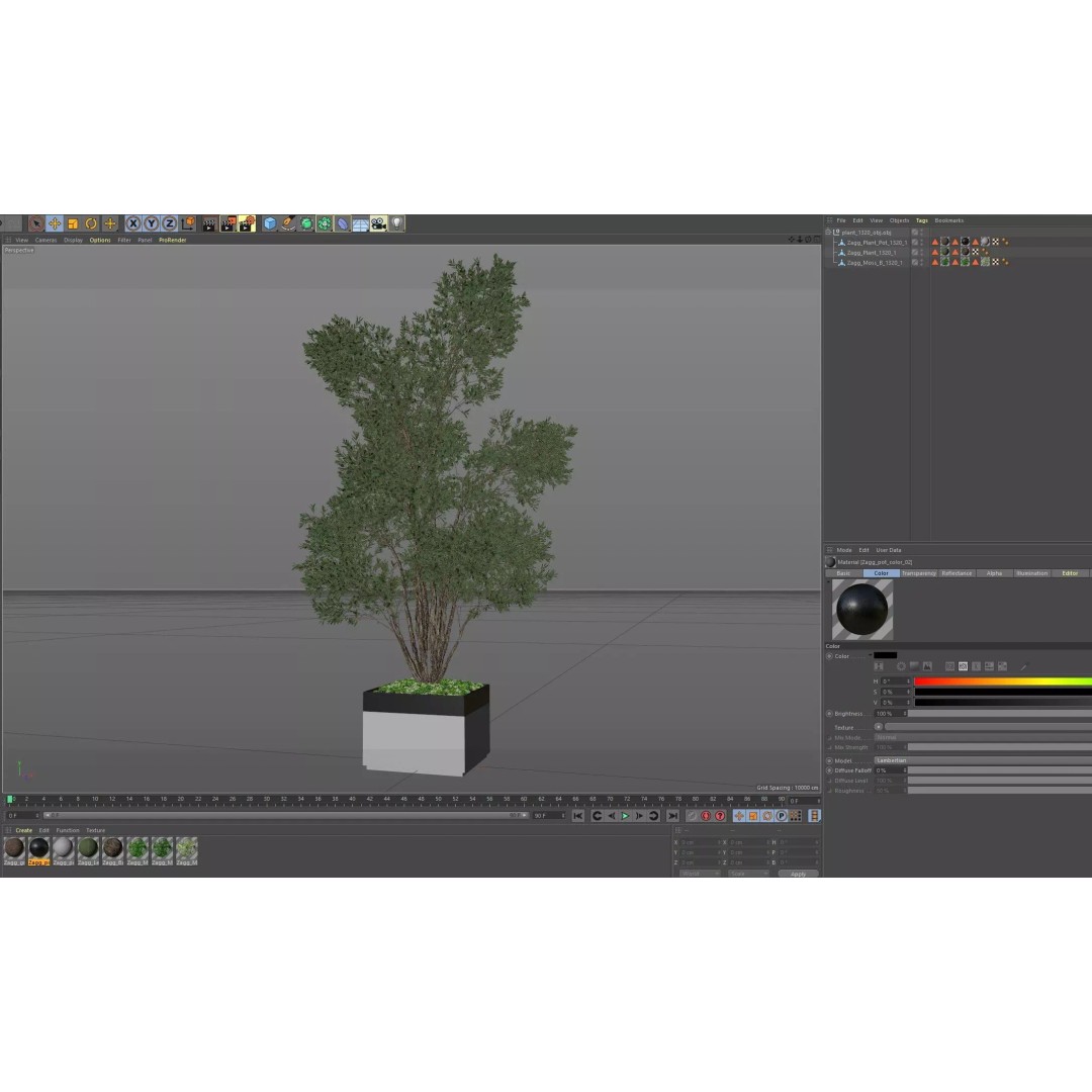 Plant 1320 3D Model – High Quality PBR Pot Plant for Archviz