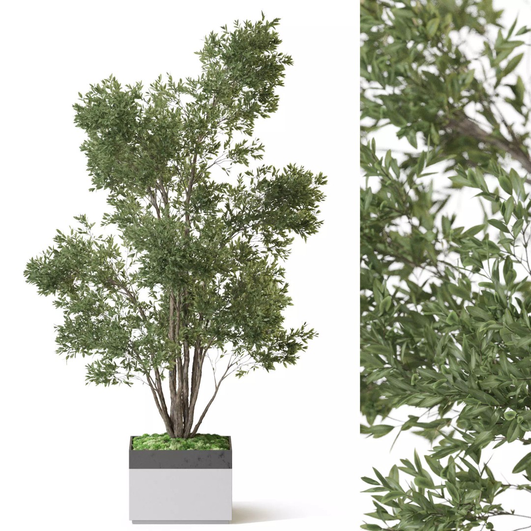 Plant 1320 3D Model – High Quality PBR Pot Plant for Archviz - View 2
