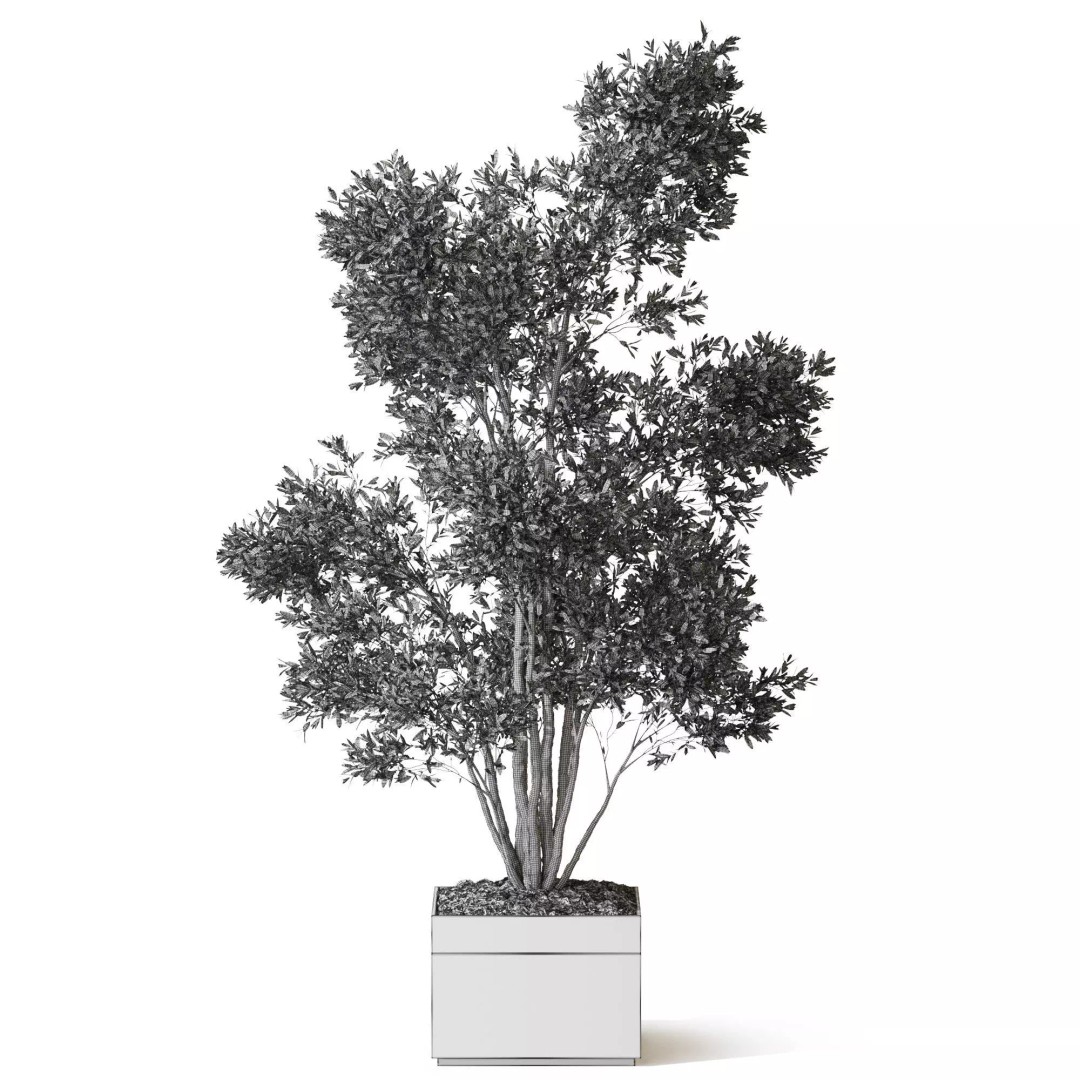 Plant 1320 3D Model – High Quality PBR Pot Plant for Archviz - View 6