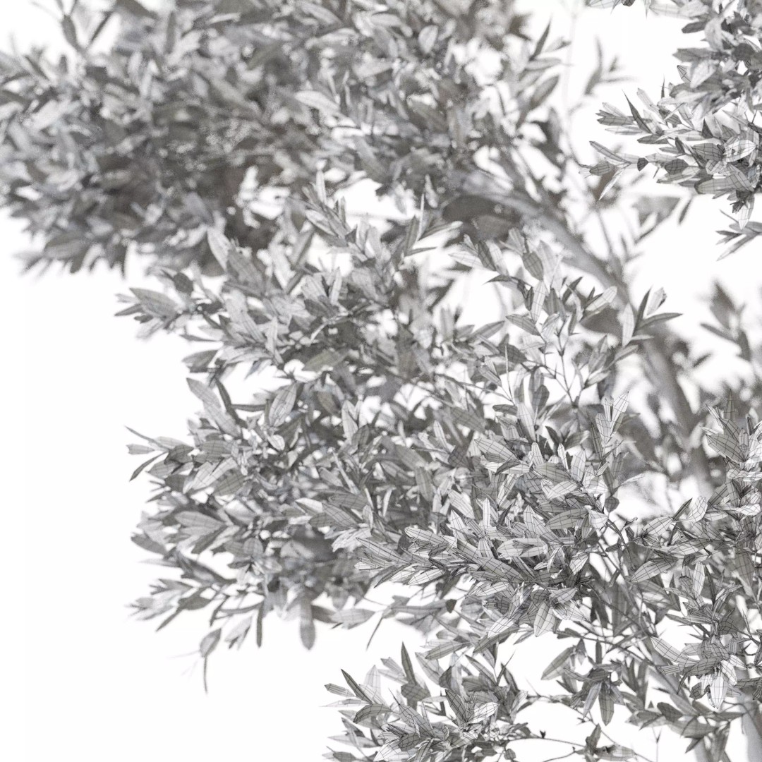 Plant 1320 3D Model – High Quality PBR Pot Plant for Archviz - View 7