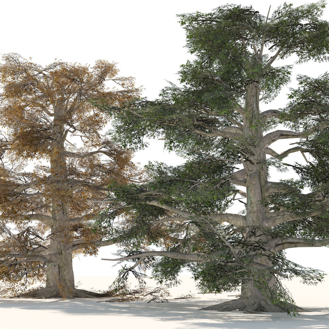 Broadleaf Beech Trees 3D Model – Low Poly Animated Asset, FBX/OBJ - View 6