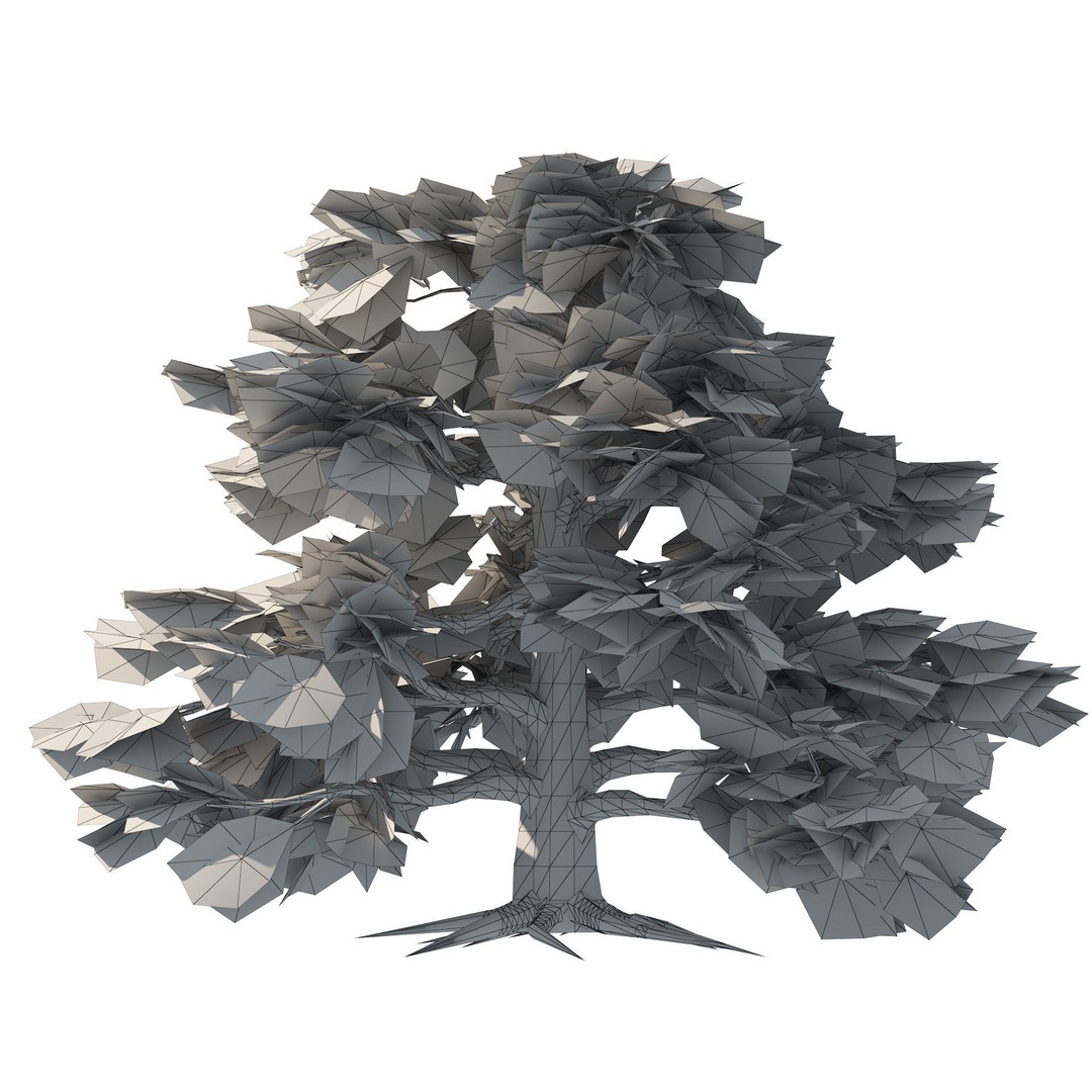 Broadleaf Beech Trees 3D Model – Low Poly Animated Asset, FBX/OBJ - View 7