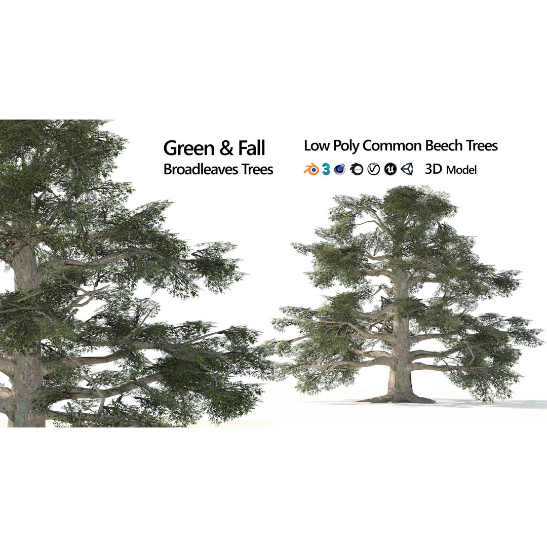 Broadleaf Beech Trees 3D Model – Low Poly Animated Asset, FBX/OBJ - View 9