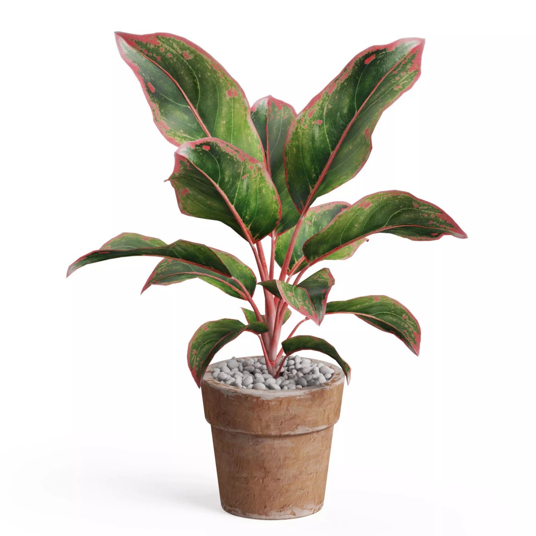 Plants Collection 765 3D Model – High Quality PBR Assets, FBX, OBJ - View 2